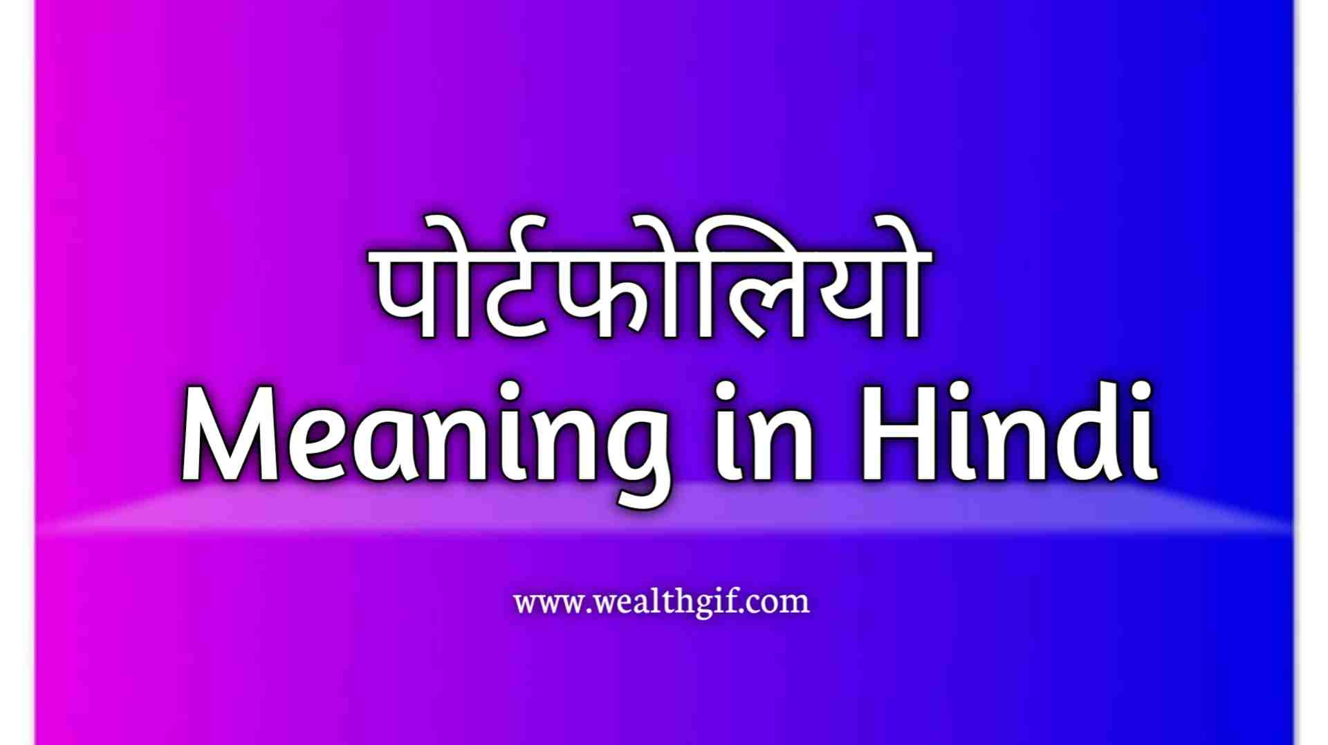 portfolio-meaning-in-hindi