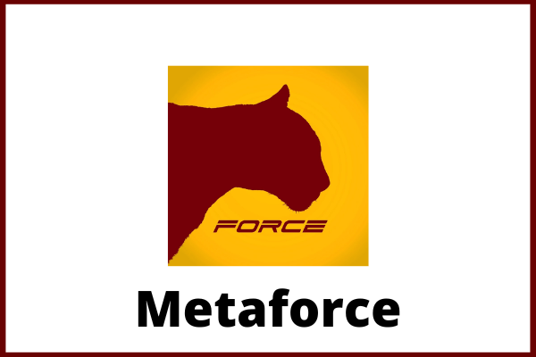 Meta force plan pdf